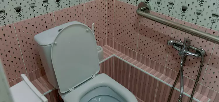 Meeting Diverse Needs With Accessible Restroom Solutions in Reynoldsburg, OH